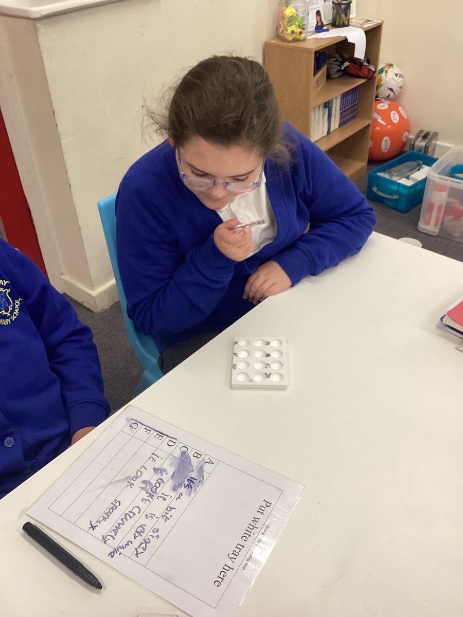 Kingsway Primary Year 5 tweet media