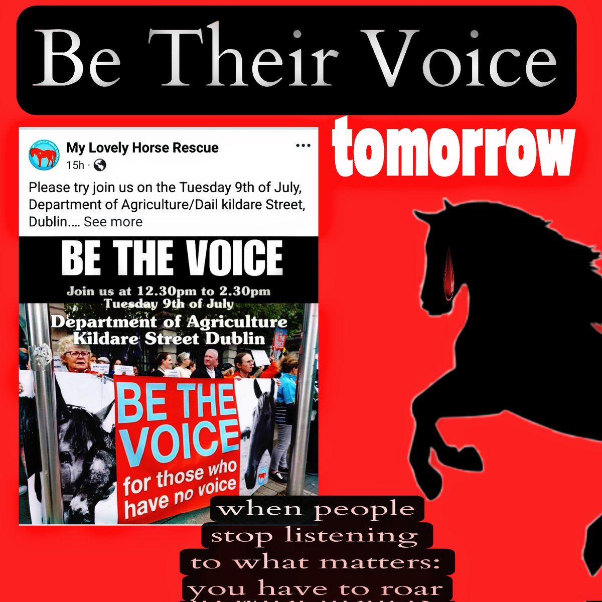 catlowry54's tweet photo. Today!!!! Join #MLHR & others to tell @McConalogue you will not accept convicted animal abusers being granted licences to abuse again #ShannonSideFoods should never have existed in the first place 12:30-2, please give sm of your time https://t.co/XRMyGALRAh