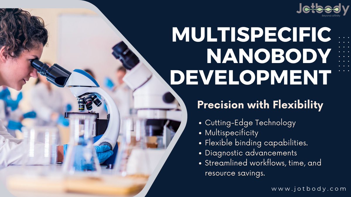 jotbody's tweet photo. 🔬 Harness the Power of #MultispecificNanobodies! Our custom #MultispecificNanobodyDevelopment services combine #Nanobodies in #Multivalent formats for exceptional bioactivity and stability. Explore the possibilities at https://t.co/t2sUv1sW4B and revolutionize your #Research! https://t.co/XbF1Yu0rvf