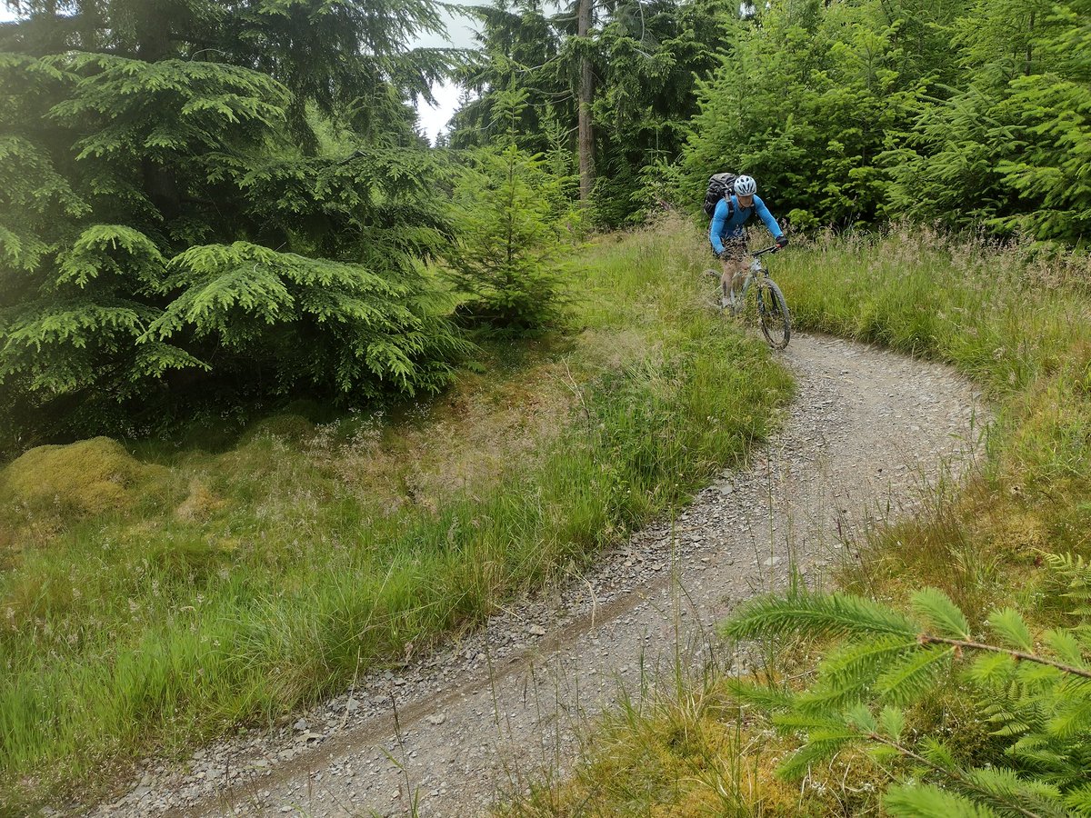 Radley College CCF tweet media