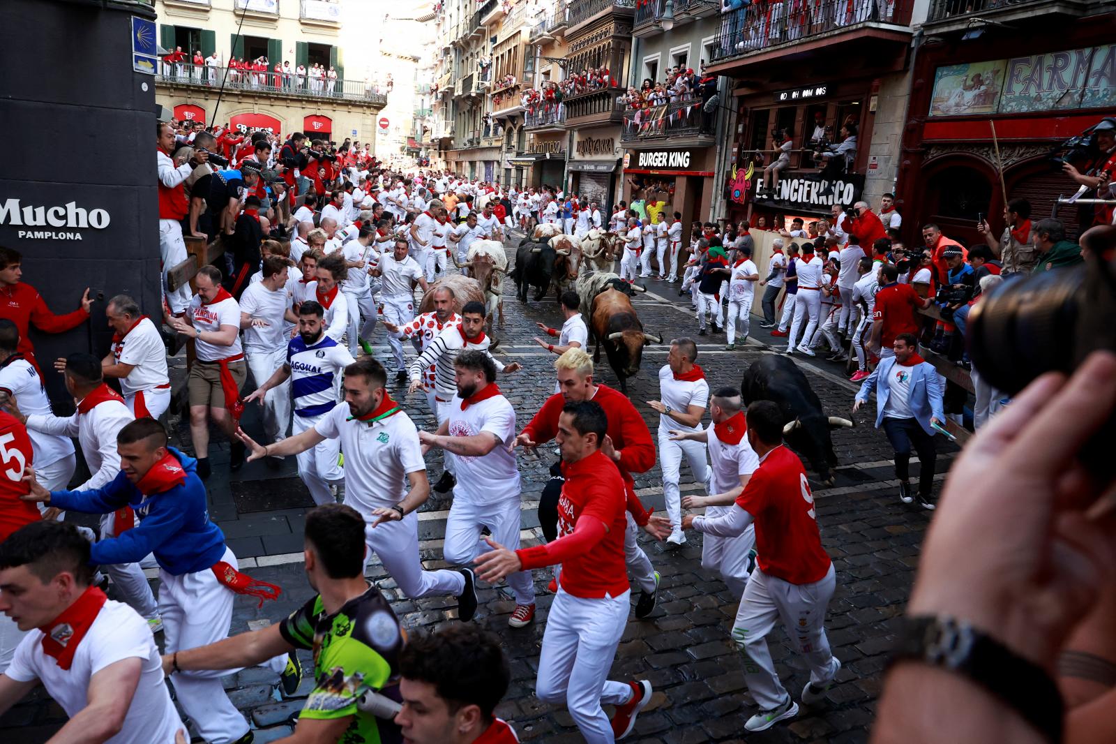 Foto cedida por Fundación Toro de Lidia