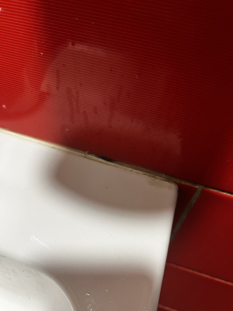 Leighbee98's tweet photo. For the last couple of years I have been avoiding @CostaCoffee after experiencing dirty shabby toilets. It’s seems this is the norm after experiencing the same again today in Sevenoaks. Toilet like this, what is the food prep like???  #CoffeeLover https://t.co/mrXl8VtjvY