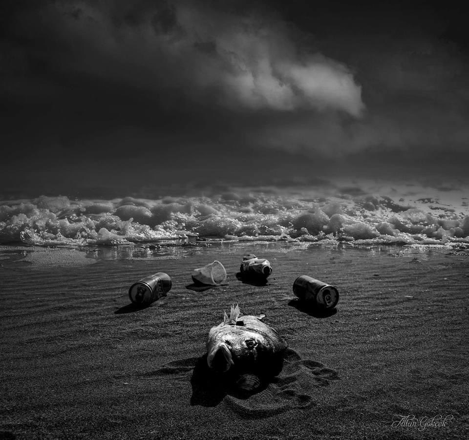 Çevre duyarlılığı