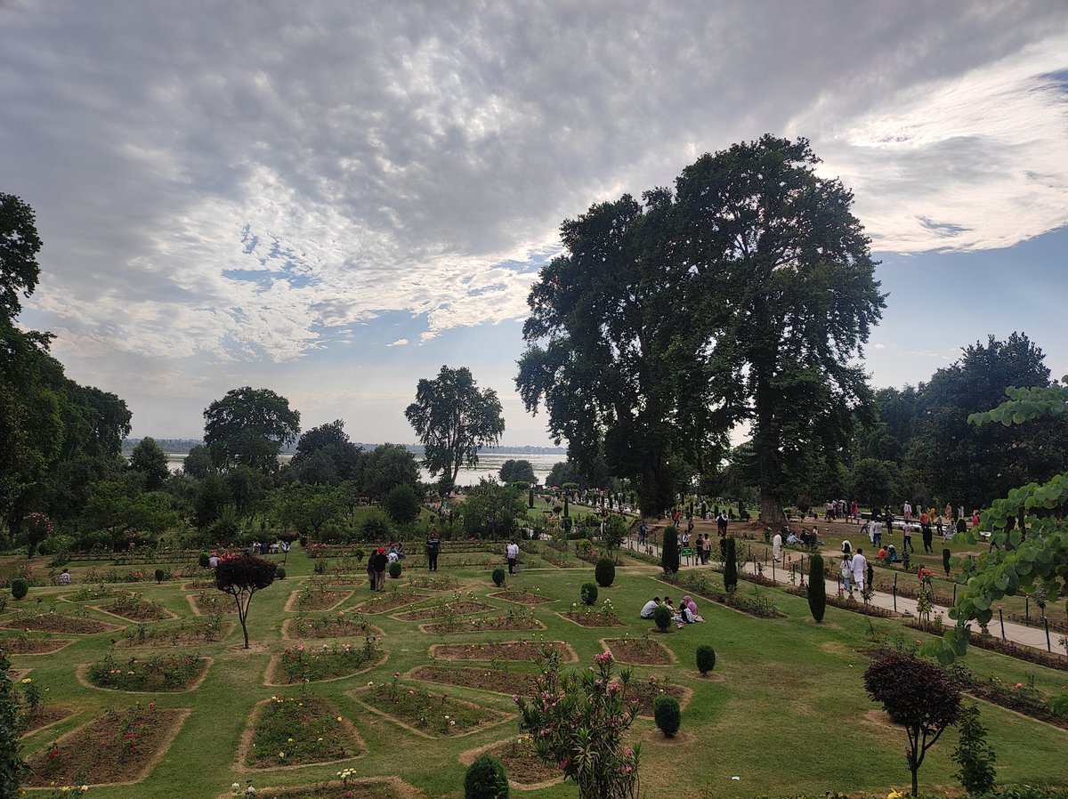 nirupamakotru's tweet photo. More pics from #NishatGarden #Srinagar.I am partial to #Shalimar & #PariMahal;have visited both many times since 2012.But on this trip,I was re- united with trees of Nishat after 30+yrs. No wonder I couldn't help but linger around these trees l कितना सुकून देते हैं ये दरख़्त ❤🙌 https://t.co/lecDoPhXa7
