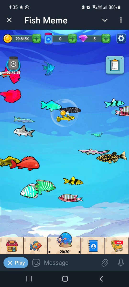 MrSashimoto's tweet photo. @FishMemeCoin 
UID : 1445768909
Hope im lucky https://t.co/QeOWmCFBD9