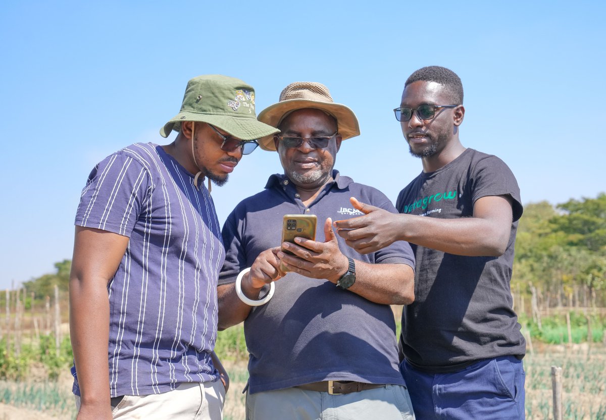 UNDPZambia's tweet photo. Nchimunya uses AI & data-driven tech to transform smallholder farming
Supported by #AccLabZM & @timbuktooafrica's #MukubaUNIPOD, housed in @CBU_ZM, entrepreneurs are scaling innovations w/ the tools & networks gained from accessing the pod
🔗Learn how: https://t.co/GVv38xvtra https://t.co/LneDwpuAox
