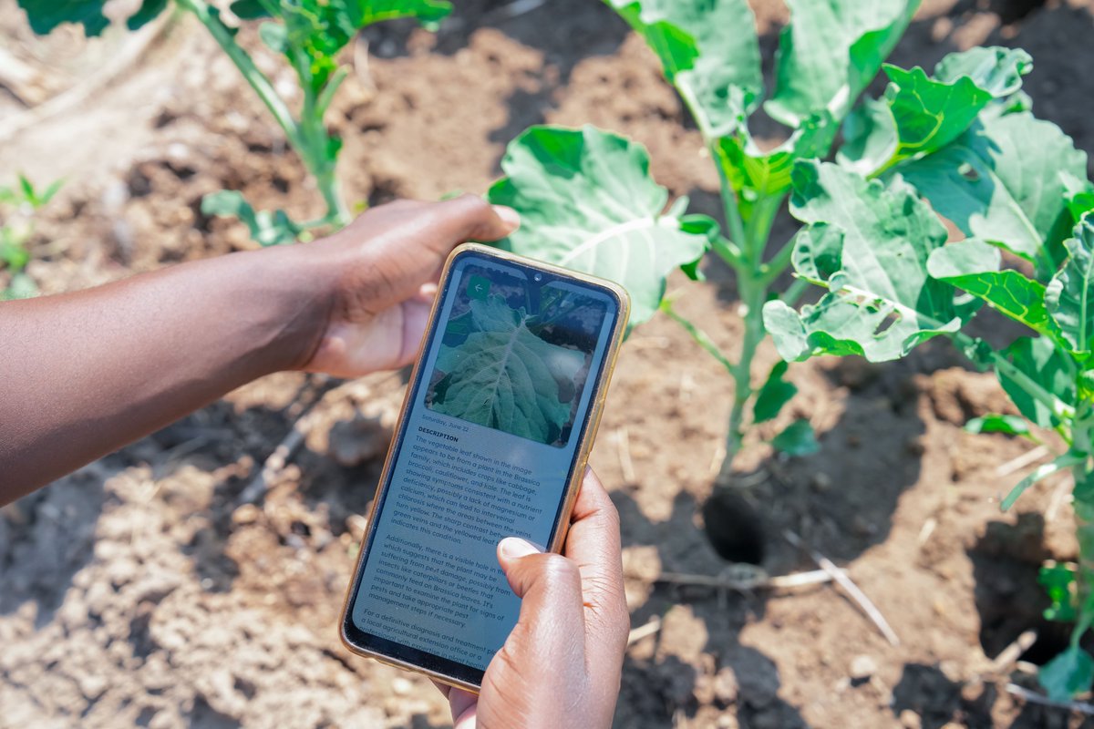 UNDPZambia's tweet photo. Nchimunya uses AI & data-driven tech to transform smallholder farming
Supported by #AccLabZM & @timbuktooafrica's #MukubaUNIPOD, housed in @CBU_ZM, entrepreneurs are scaling innovations w/ the tools & networks gained from accessing the pod
🔗Learn how: https://t.co/GVv38xvtra https://t.co/LneDwpuAox