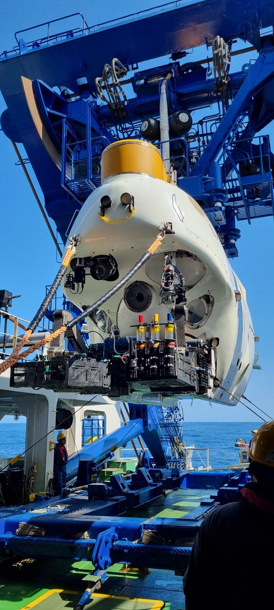 DrYoannGreau's tweet photo. Finally home after an incredible/privileged expedition  on the RV Yokosuka and the DSV しんかい6500. Most incredible experience + successful sampling 🌋 #peridotitexenoliths from the oceanic lithosphere
有り難う御座います
@NoriAKZ @6K_JAMSTEC @JAMSTEC_PR #YK24_10S #6442m
@AuScope https://t.co/nT2x9alliW