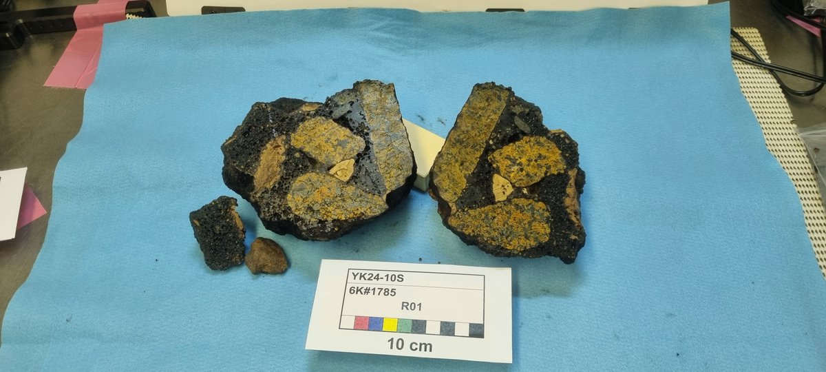 Finally home after an incredible/privileged expedition  on the RV Yokosuka and the DSV しんかい6500. Most incredible experience + successful sampling 🌋 #peridotitexenoliths from the oceanic lithosphere
有り難う御座います
<a href="/NoriAKZ/">Nori Akizawa Lab (Hiroshima Uni)</a> <a href="/6K_JAMSTEC/">「しんかい6500」JAMSTEC</a> <a href="/JAMSTEC_PR/">JAMSTEC 海洋研究開発機構 ＼海と地球の研究所／</a> #YK24_10S #6442m
<a href="/AuScope/">AuScope</a>