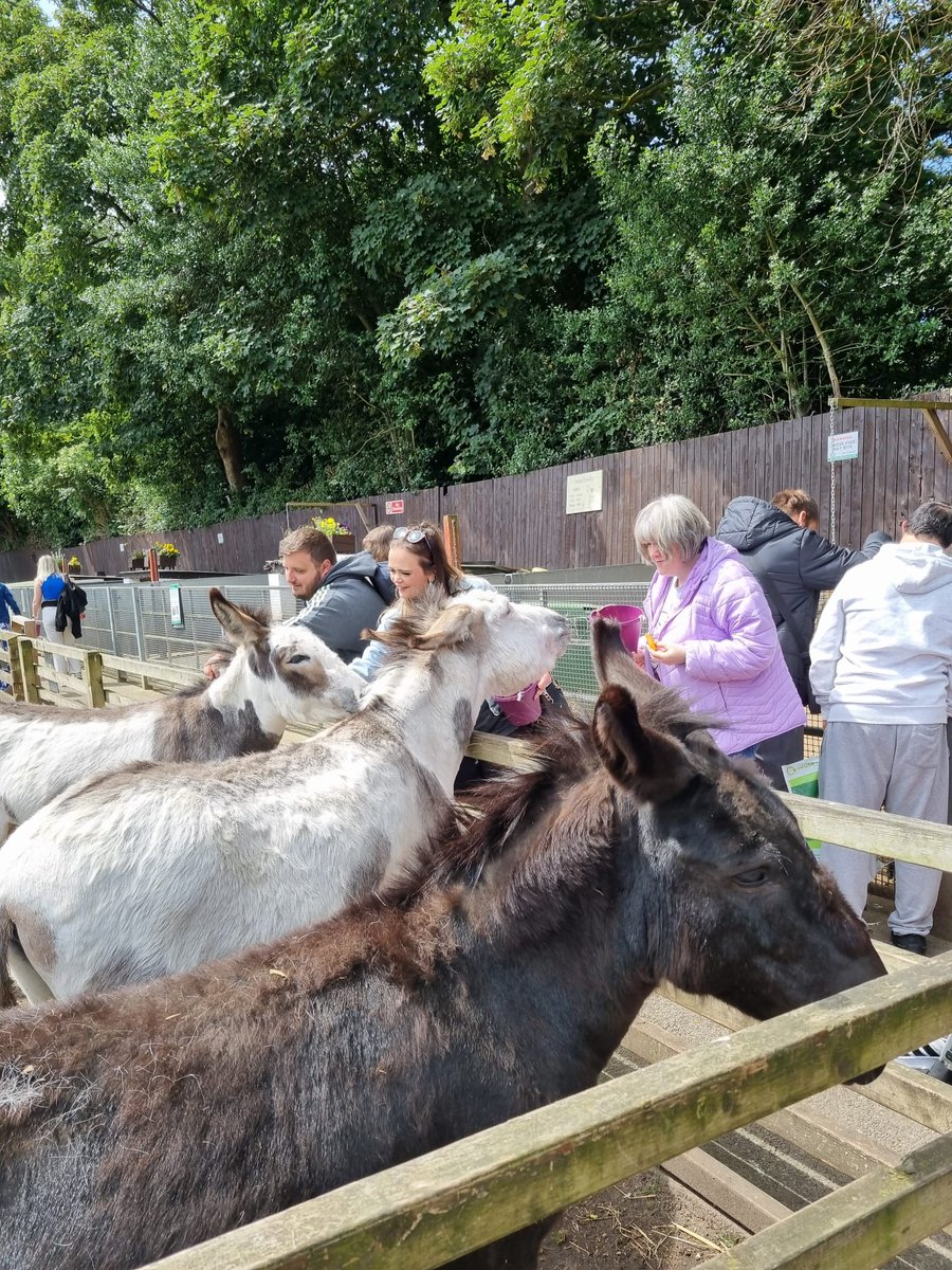 Daisy Inclusive UK tweet media