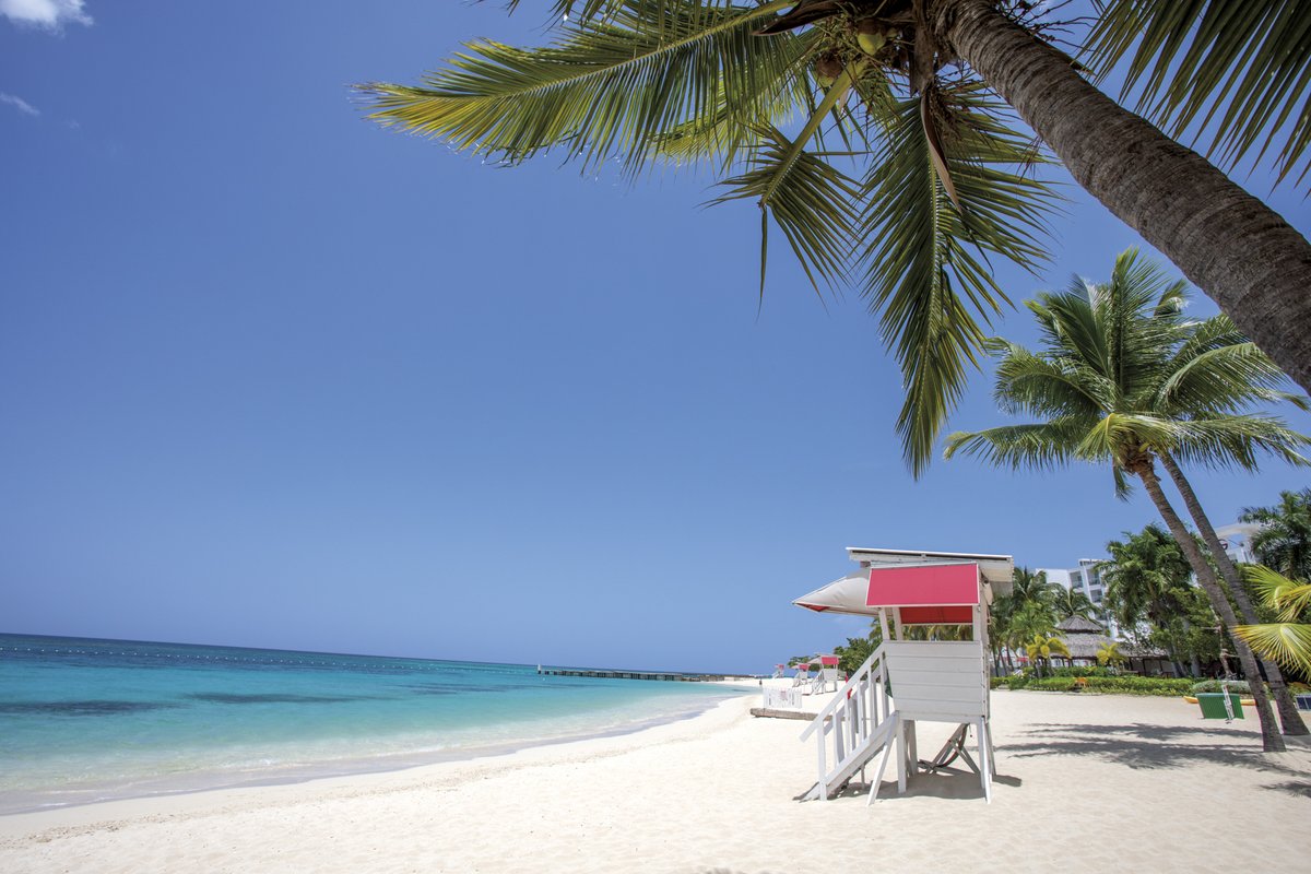 HeliadesOff's tweet photo. La Jamaïque a tout pour séduire 🖤💛💚

Plages paradisiaques, montagnes majestueuses, villes chargées d'histoire, riche culture et population accueillante, ce joyau des Caraïbes n'attend que vous ➡️https://t.co/S0HmxpYarv avec @VisitJamaica 🏝️

#VisitJamaica #GemsofJamaica https://t.co/aF29cqrVAq