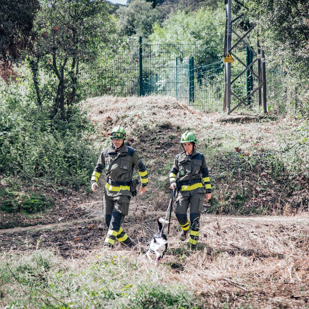 interiorcat's tweet photo. 🌳 9 de cada 10 incendis forestals estan relacionats amb l'activitat humana! Segueix els consells d'@agentsruralscats per ajudar a prevenir els incendis forestals:

🔥 No facis foc.
🧨 No llancis pirotècnia.
🚬 No llancis burilles.

🔗  https://t.co/Tfkm3DW1sO https://t.co/VTPWhL0LWJ