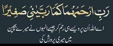 Naeem tweet media