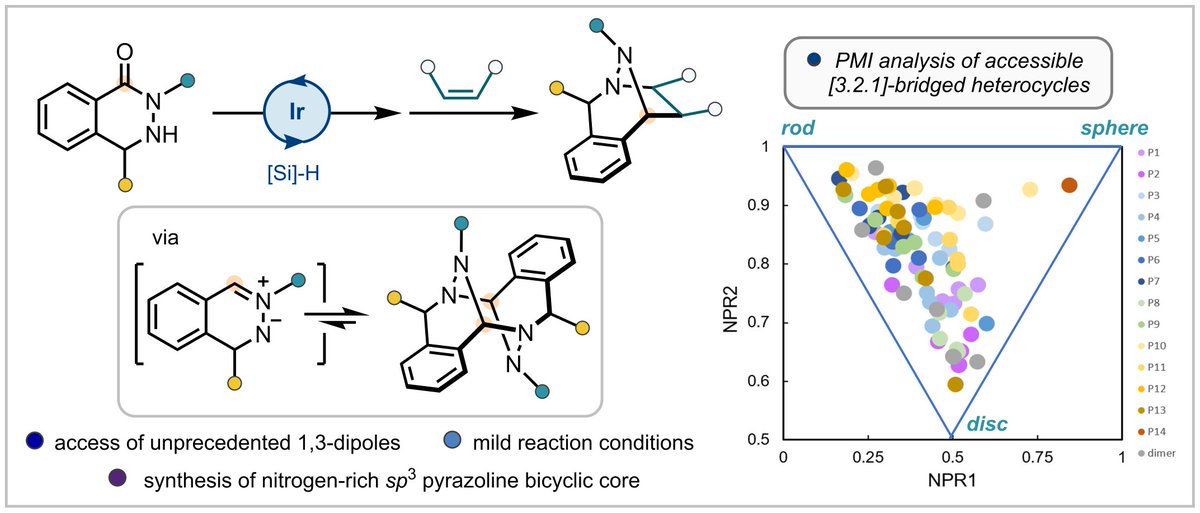 Dixon Group (@dixon_group) on Twitter photo Out now in <a href="/NatureSynthesis/">Nature Synthesis</a> - Iridium-catalysed synthesis of C,N,N-cyclic azomethine imines enables entry to unexplored N-rich 3D chemical space
nature.com/articles/s4416…
Congrats to the team - <a href="/YaseenAlmehmadi/">Yaseen A. Almehmadi</a>, Jack, @Nandini_Guzman & <a href="/KenYamazaki5/">Ken Yamazaki</a>
<a href="/OxfordChemistry/">Oxford Chemistry</a> #OpenAccess Out now in <a href="/NatureSynthesis/">Nature Synthesis</a> - Iridium-catalysed synthesis of C,N,N-cyclic azomethine imines enables entry to unexplored N-rich 3D chemical space
nature.com/articles/s4416…
Congrats to the team - <a href="/YaseenAlmehmadi/">Yaseen A. Almehmadi</a>, Jack, @Nandini_Guzman & <a href="/KenYamazaki5/">Ken Yamazaki</a>
<a href="/OxfordChemistry/">Oxford Chemistry</a> #OpenAccess