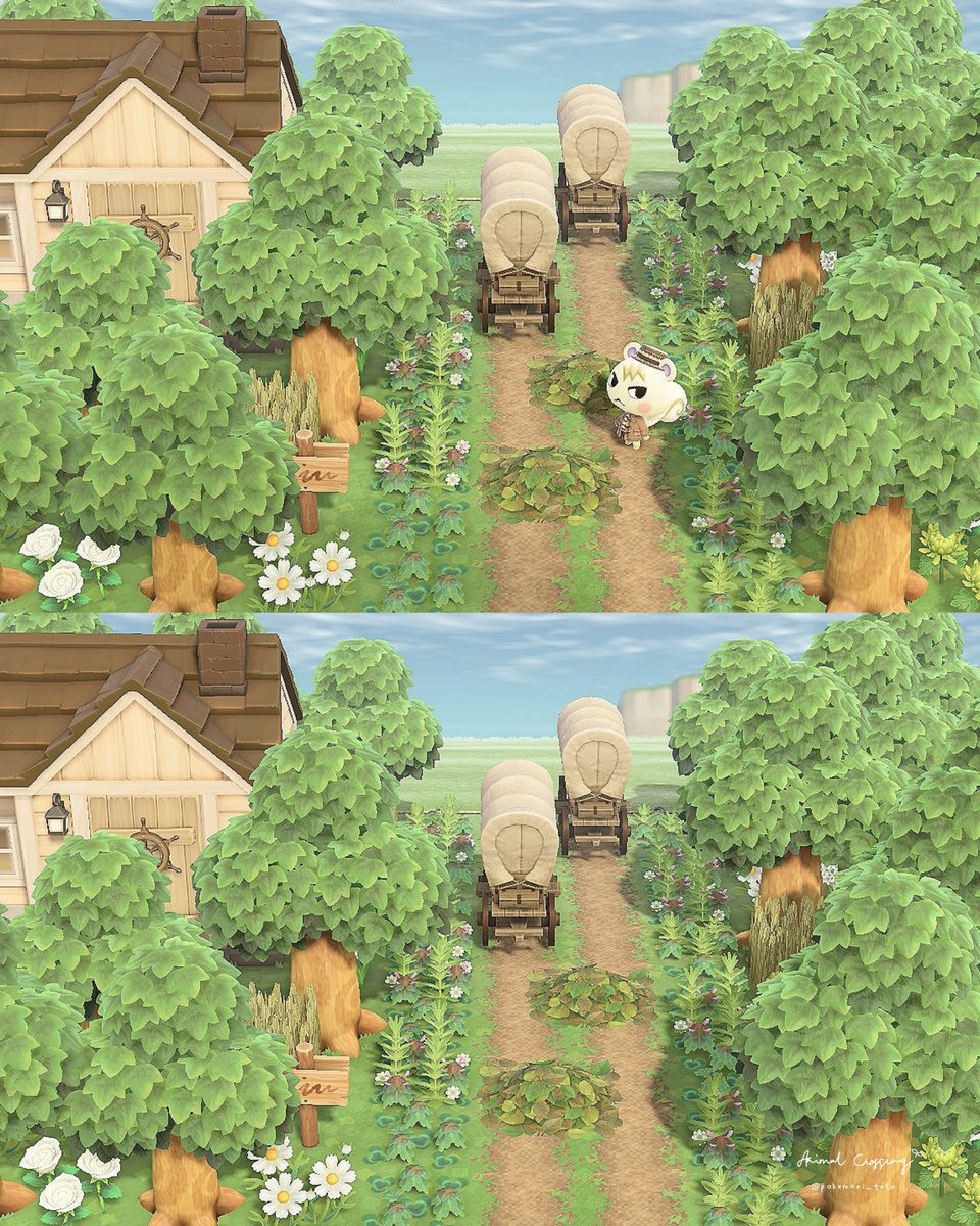 pokemori_toto's tweet photo. 森の小道🌳🌲
アルバム整理中です🍃

#あつ森 ＃あつ森写真部
＃あつ森ニンドリ投稿
 #animalcrossing #ACNH https://t.co/DbW0aDyoKb