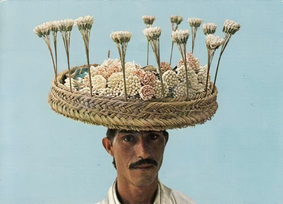 Tunisianesque's tweet photo. • Bilād al-Yasmīn 🌸🇹🇳 https://t.co/B4VZcTABAZ