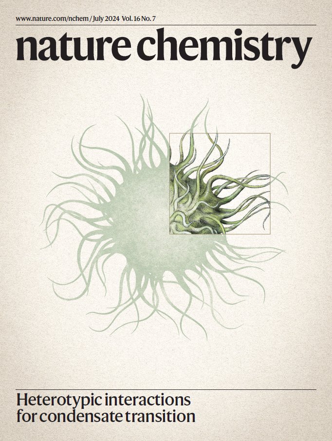 Our July issue is live! This month, the issue focuses on phase separation, including an editorial and a Q&amp;A on the progress and future of the field, along with a mix of articles and an In Your Element on pink medicines. nature.com/nchem/volumes/…