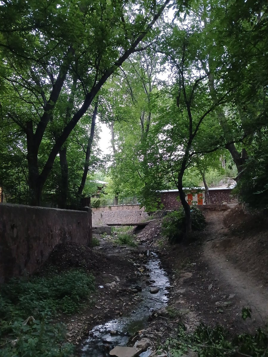 _thmhdce's tweet photo. یه هفتس کارم شده عصرا میام اینجا با دوستم یه چایی میخور��،برمیگردم
(تفریحات تابستونه جالبی شده) https://t.co/nYr3qyNbOr