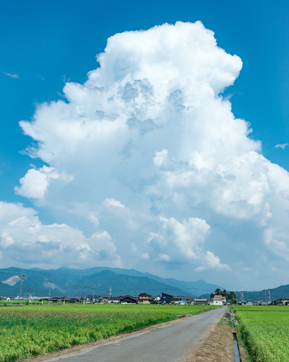 photo_okina's tweet photo. あの雲に向かって https://t.co/7057iZD2Qk