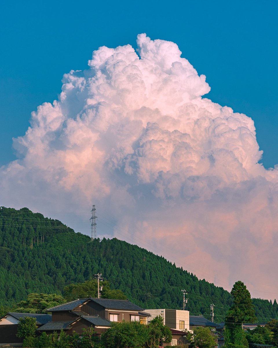 photo_okina's tweet photo. あの雲に向かって https://t.co/7057iZD2Qk