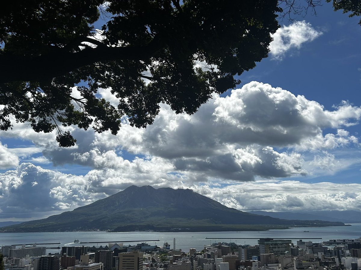 Maju_cinq's tweet photo. 朝から撮影でした🩵
城山展望台からの

桜島🌋✨ https://t.co/EVEnCwSPFf