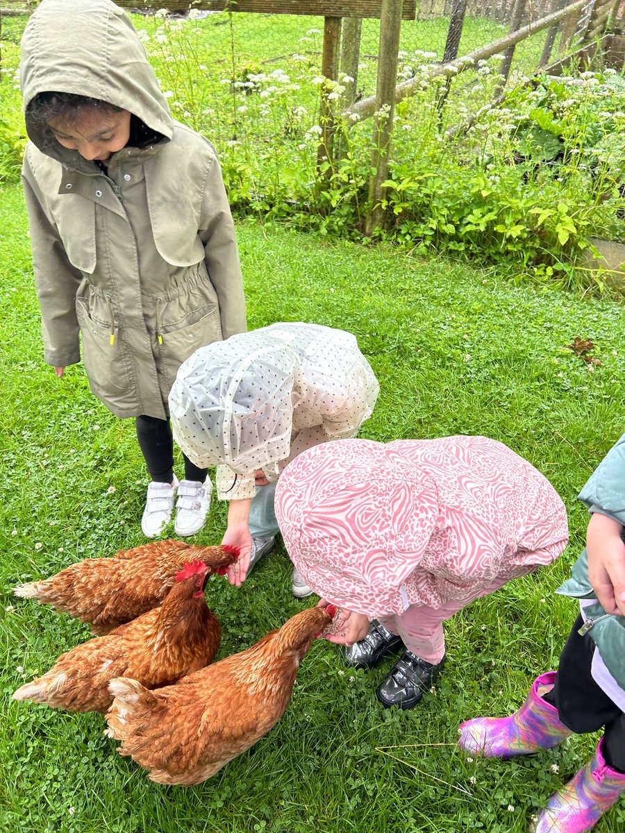 Miss Vickerstaff tweet media