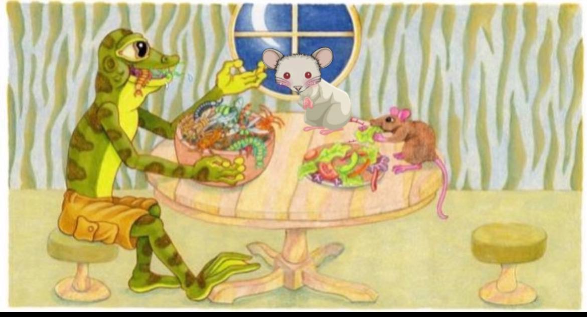 CoomerMemeCoin's tweet photo. @kylechasse Hidden Gem 💎 Here 

$Fox is good dip now 

$Wat only sister 

Ca 

0x62e3B3C557C792C4A70765b3cdB5b56b1879f82d

$Hoppy $Draggy $Flappy $Dolphy $Wat #Meme #Hoppy #Draggy #Flappy #Wat. https://t.co/vpw8LidkVj