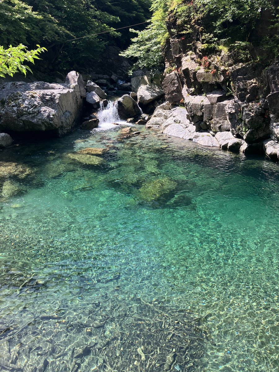 OPUWV's tweet photo. 2024/7/9
八経ヶ岳を登りました！
1泊2日の山行として、夏合宿前の最後の合宿となりました。一回生としては初めての2000メートル近くの山行となり、良い経験となったと思います😄これから予備合宿までは活動がありませんが、各自自主トレを怠らないように頑張っていきます！！ https://t.co/7KvMPuN9Fv