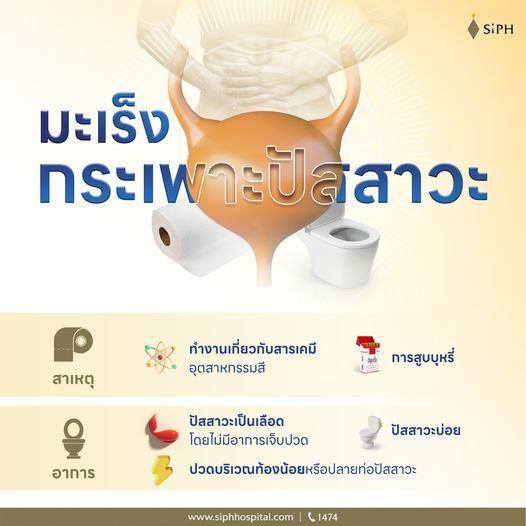 SiPHHospital's tweet photo. ปัสสาวะเป็นเลือดโดยไม่มีอาการเจ็บปวด สัญญาณเตือน "มะเร็งกระเพาะปัสสาวะ"
#มะเร็งกระเพาะปัสสาวะ #ระบบทางเดินปัสสาวะ
#ปัสสาวะแสบขัด #ปัสสาวะบ่อย #KeyForCare #กุญแจสำคัญของการรักษา
#ศูนย์ทางเดินปัสสาวะ #SiPH #ศิริราชปิยมหาราชการุณย์ https://t.co/2SjnTH2mSV