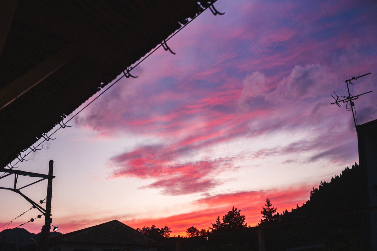 goricame_jp's tweet image. 