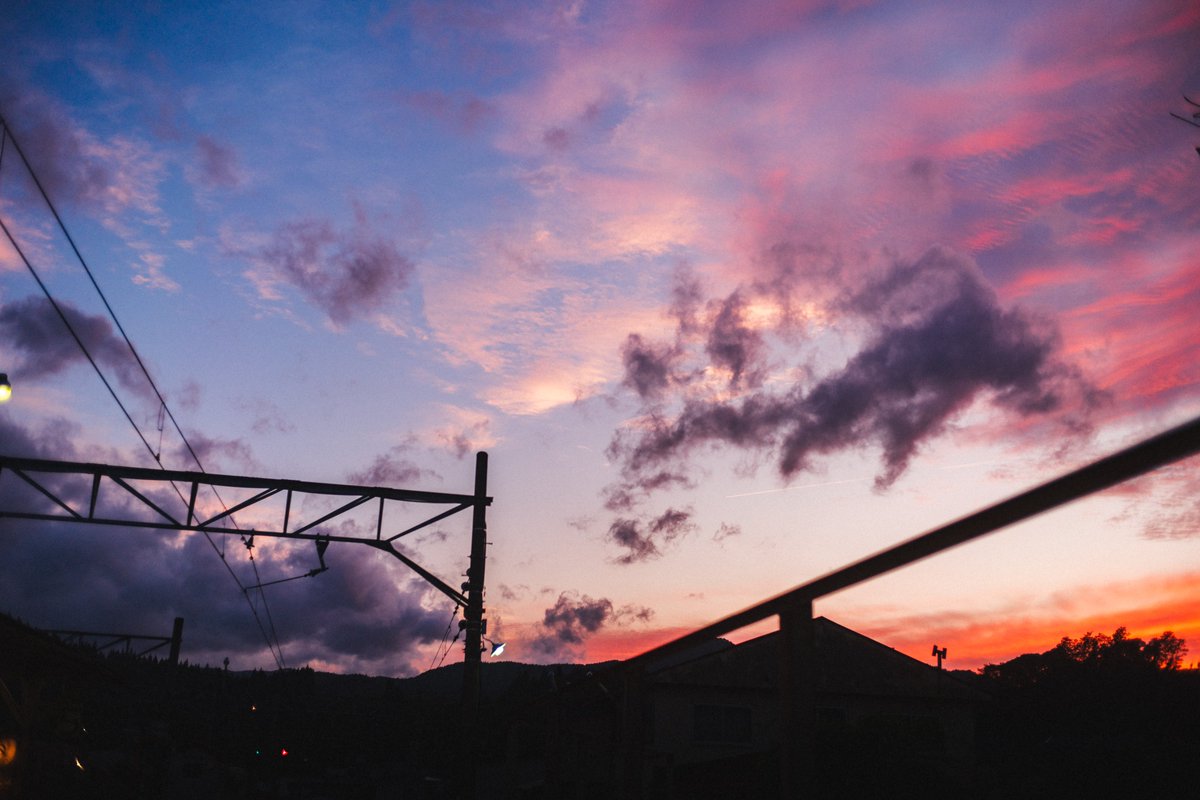 goricame_jp's tweet image. 