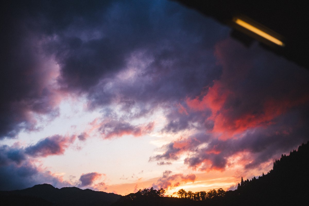 goricame_jp's tweet image. 