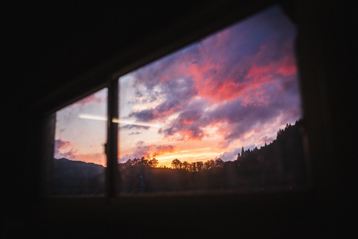 goricame_jp's tweet image. 