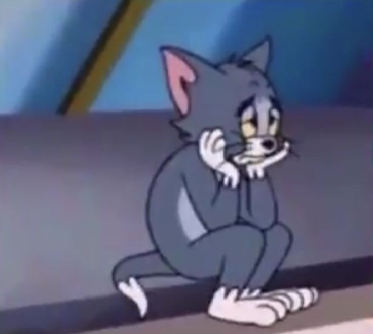 ہُما چوہدری tweet media