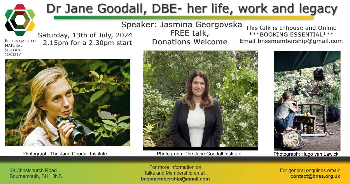 Bournemouth Natural Science Society & Museum (@bnss1) on Twitter photo 