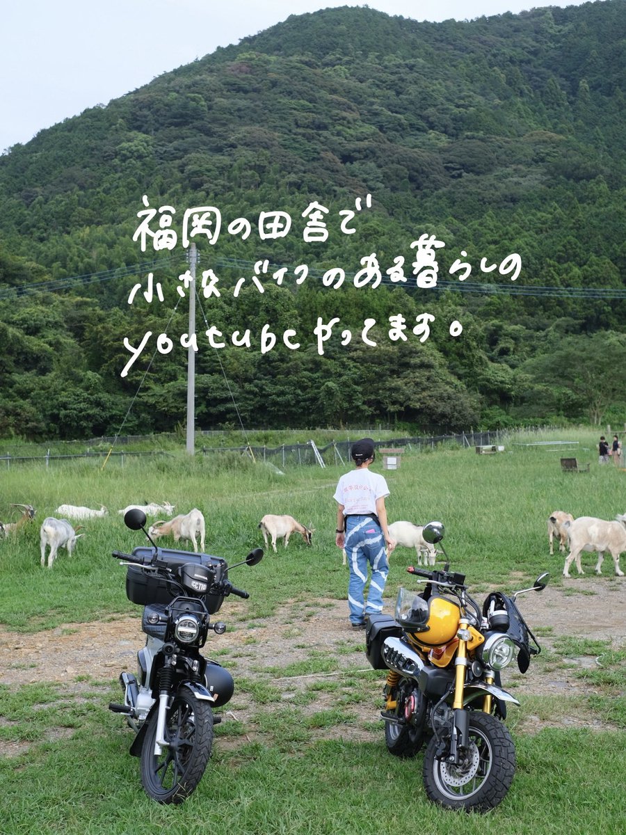 こころ tweet media