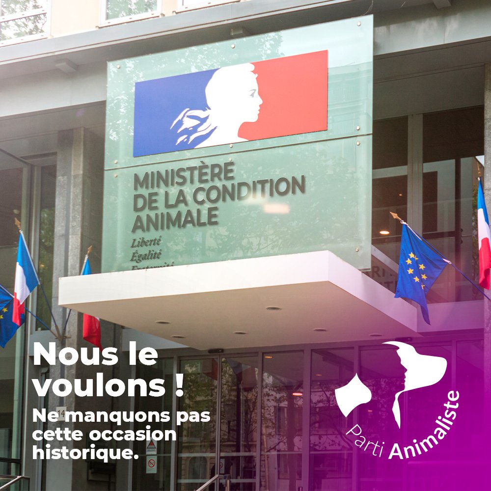 Parti animaliste tweet media