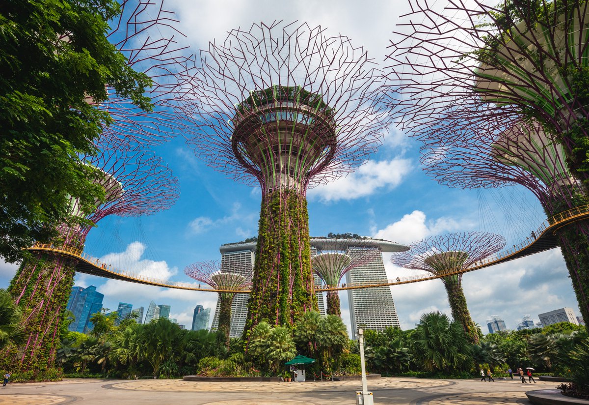 Under the Companies Act, all Singapore-incorporated companies are required to file annual returns with ACRA to ensure that the company’s information on ACRA’s register is up to date.  

bit.ly/3XKJB7b

#AnnualReturnsSingapore
#ACRA
#Singapore 
#FactsForForeigners