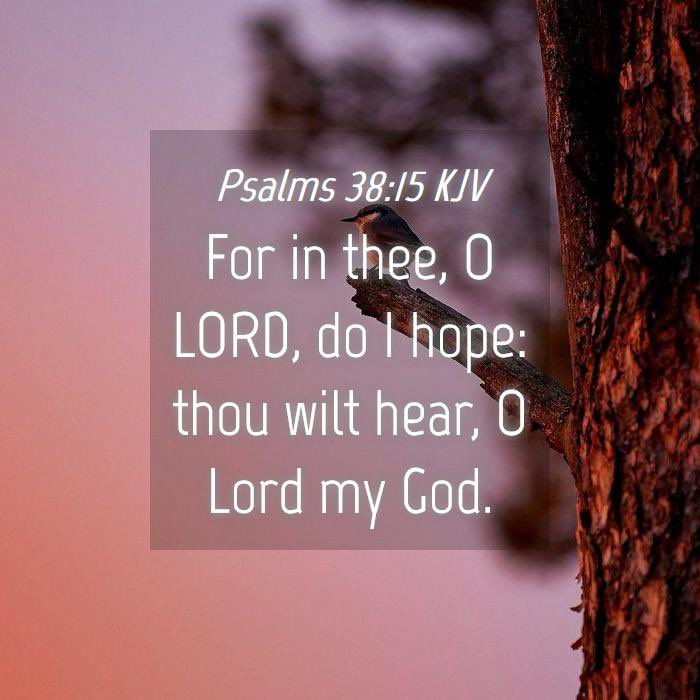 larryjbarker's tweet photo. Lord, do not abandon me; my God, do not be far from me. Hurry to help me, Lord, my Savior. #Psalm38:21โ22 #SOAP2024 #LoveJesus #ObeyJesus #PRAY #BMAGlobal https://t.co/eio9wPF9AQ