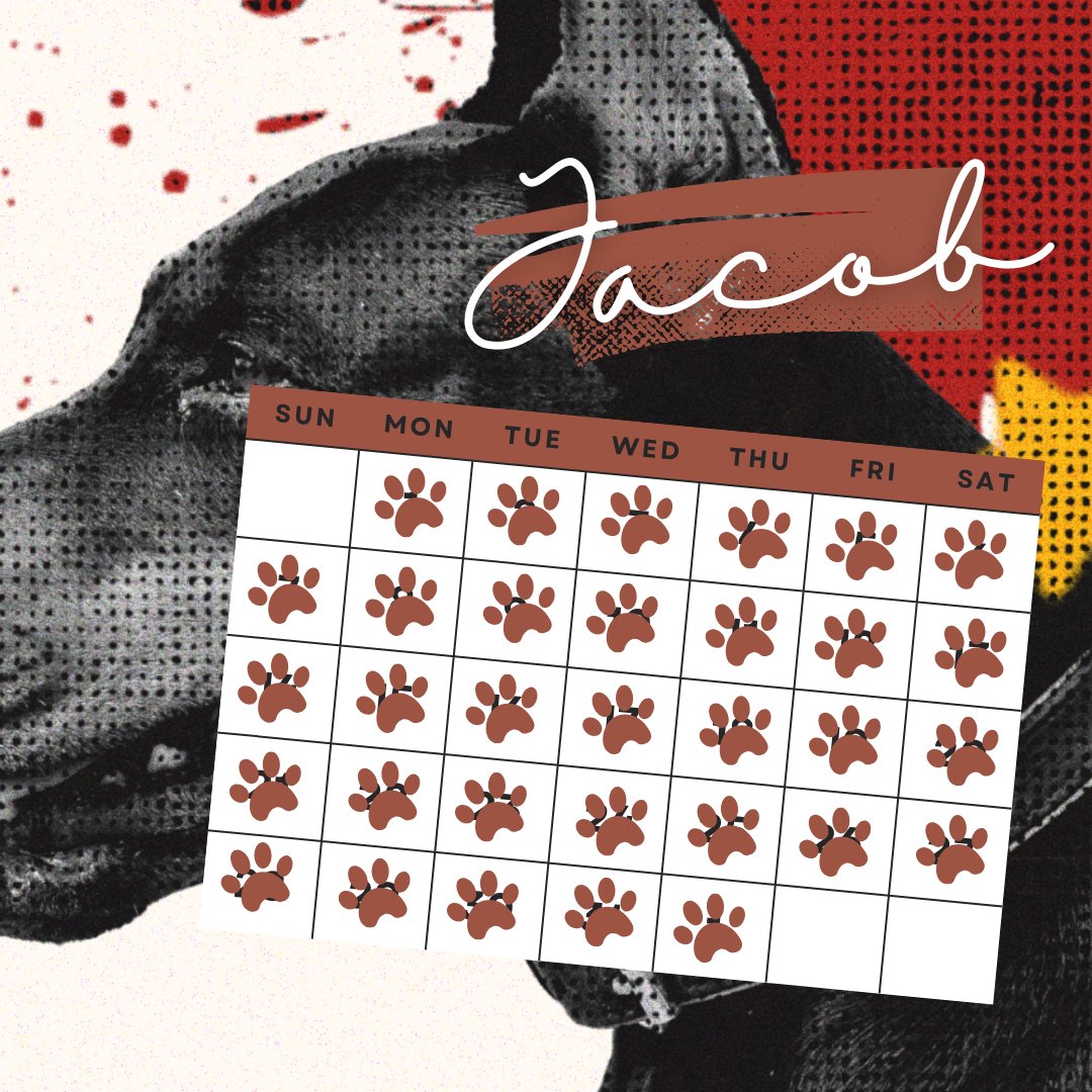 SYUKURAN FULLSLOT JACOB 🙃

Terimakasih all client yang sudah mempercayakan j untuk nemenin di bulan ini. Form agustus dibuka sore ini juga, nanti bisa cek tweet update baru dari saya. Buat j tetep semangat ya stay humble selalu <a href="/jcobw_/">Jacob B.</a> 

Regards,
Kirin House