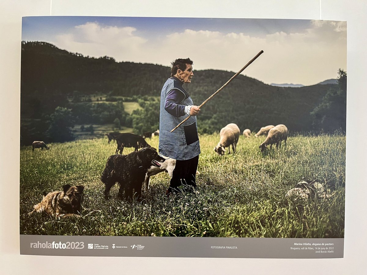 bprahola's tweet photo. 📸 #RaholaFoto2023
Mostra fotogràfica dels treballs presentats a la 13a edició d'aquests guardons en la categoria a la millor fotografia de premsa
🗓️ Fins al 31/7
📍 Vestíbul de la #BiblioRahola
#setmanadelsrahola #comunicaciolocal #premisrahola #BibliotequesCat #Girona https://t.co/Lh2M9DFD05