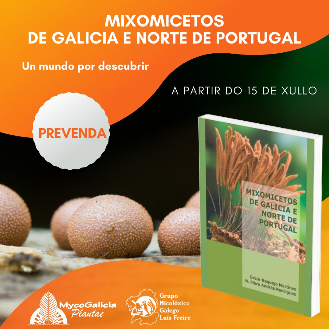 MycoGalicia Plantae tweet media