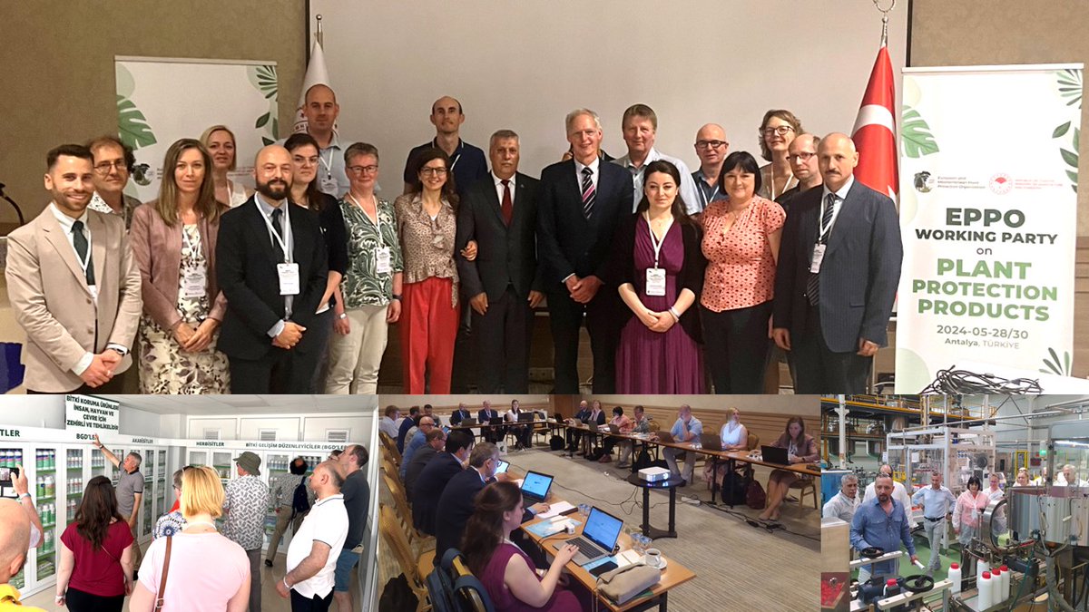 EPPO Efficacy tweet media