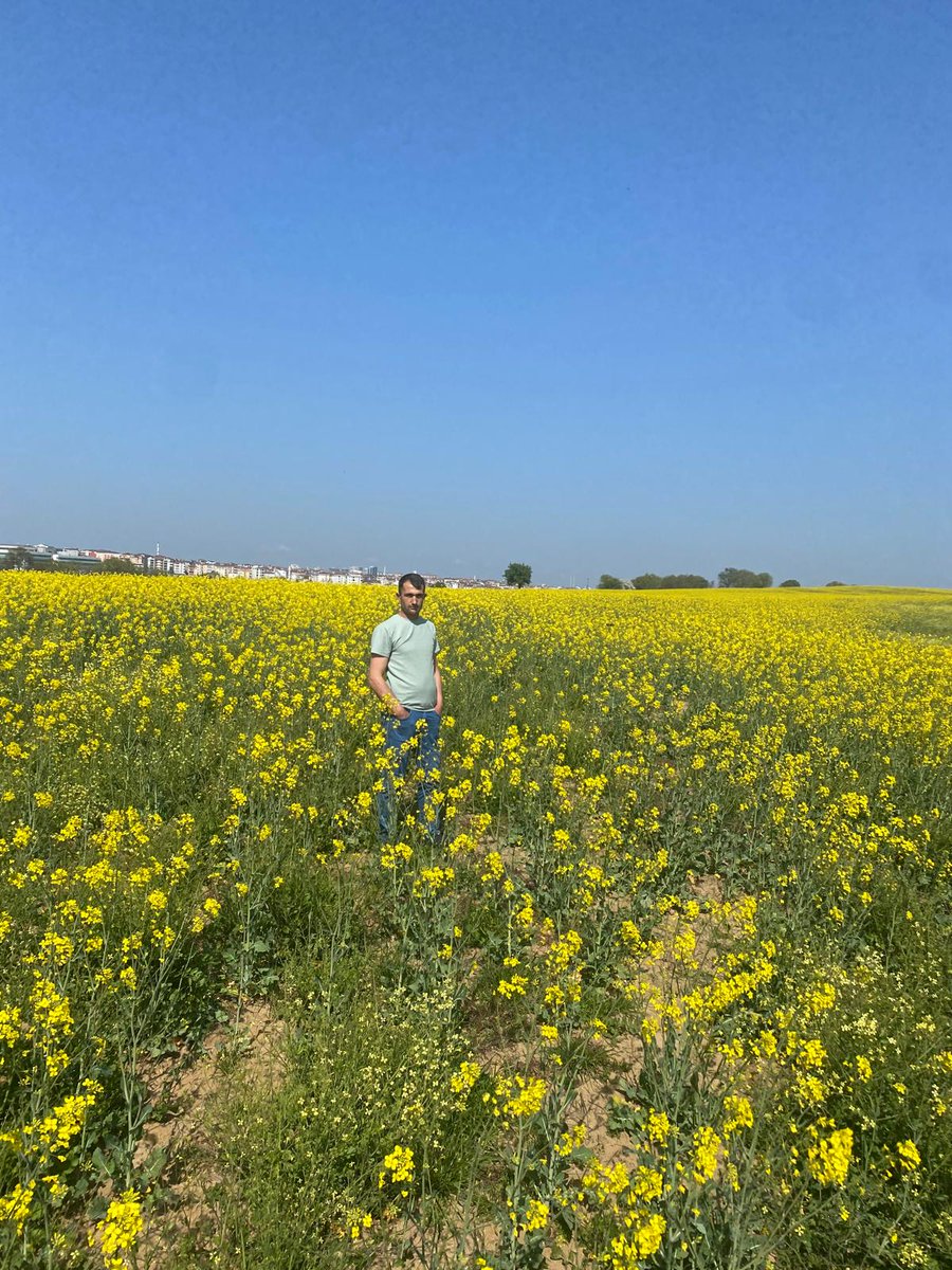 Sedat ama çılgın değil (@calisiksedat) on Twitter photo 