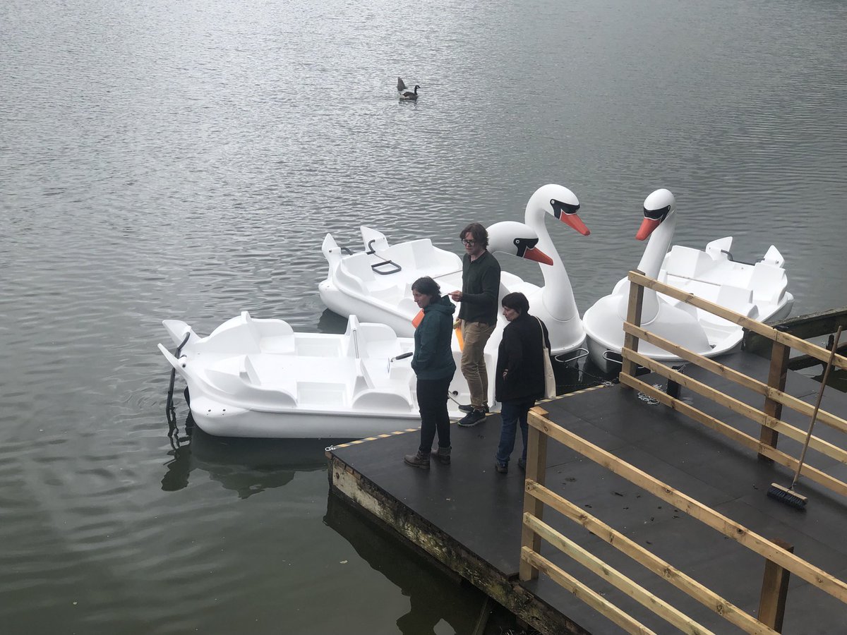 Mitchofworcs's tweet photo. Swans have really grown on Arrow Valley Lake ! https://t.co/91C3dGcVI9