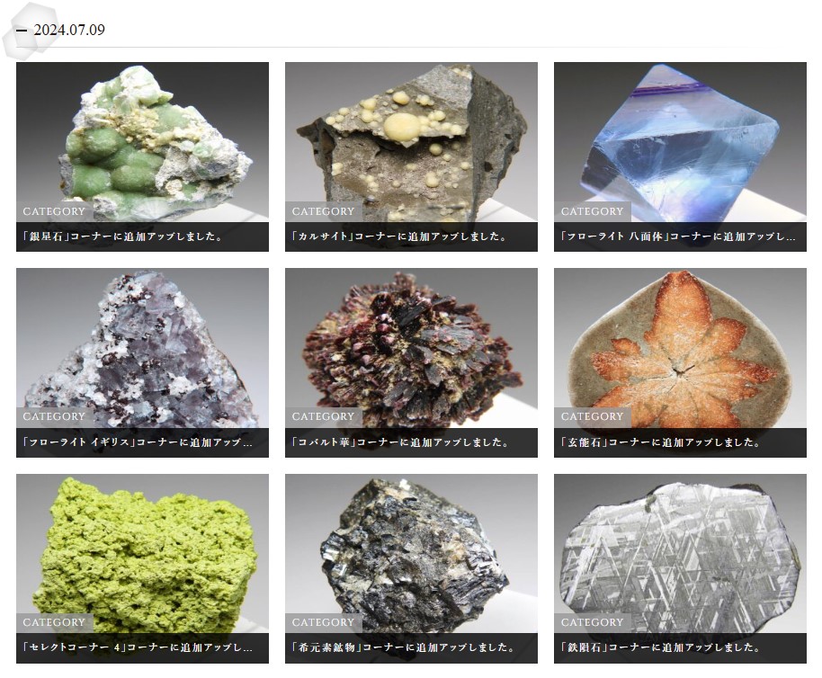 ロードラナイト✨NWA3341（Primitive achondrites）隕石 【公式通販