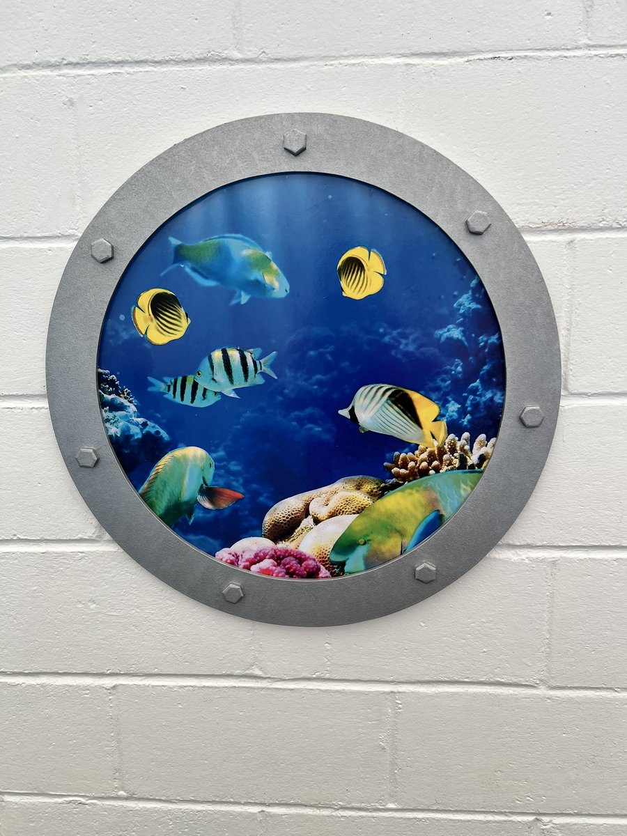 Our swimming pool refurbishment looks amazing thanks to Mr Emmett and FOBS! We can’t wait for our swimming galas next week 🏊🏼‍♀️ 🏊🏼‍♂️