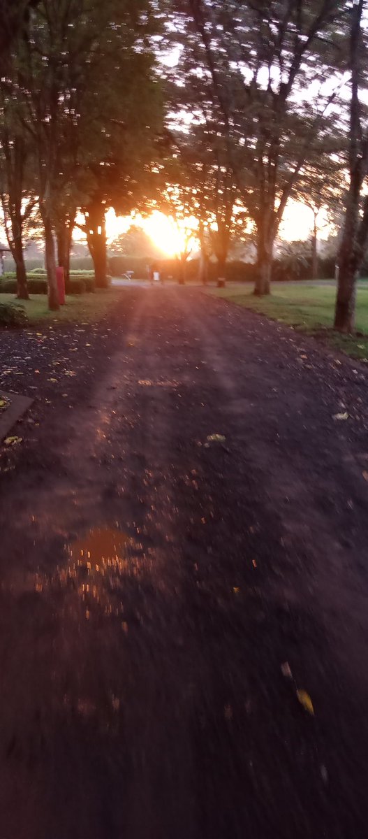 eric44k's tweet image. Morning run