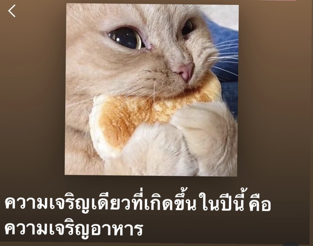 ใครสักคนกล่าวไว้ tweet media