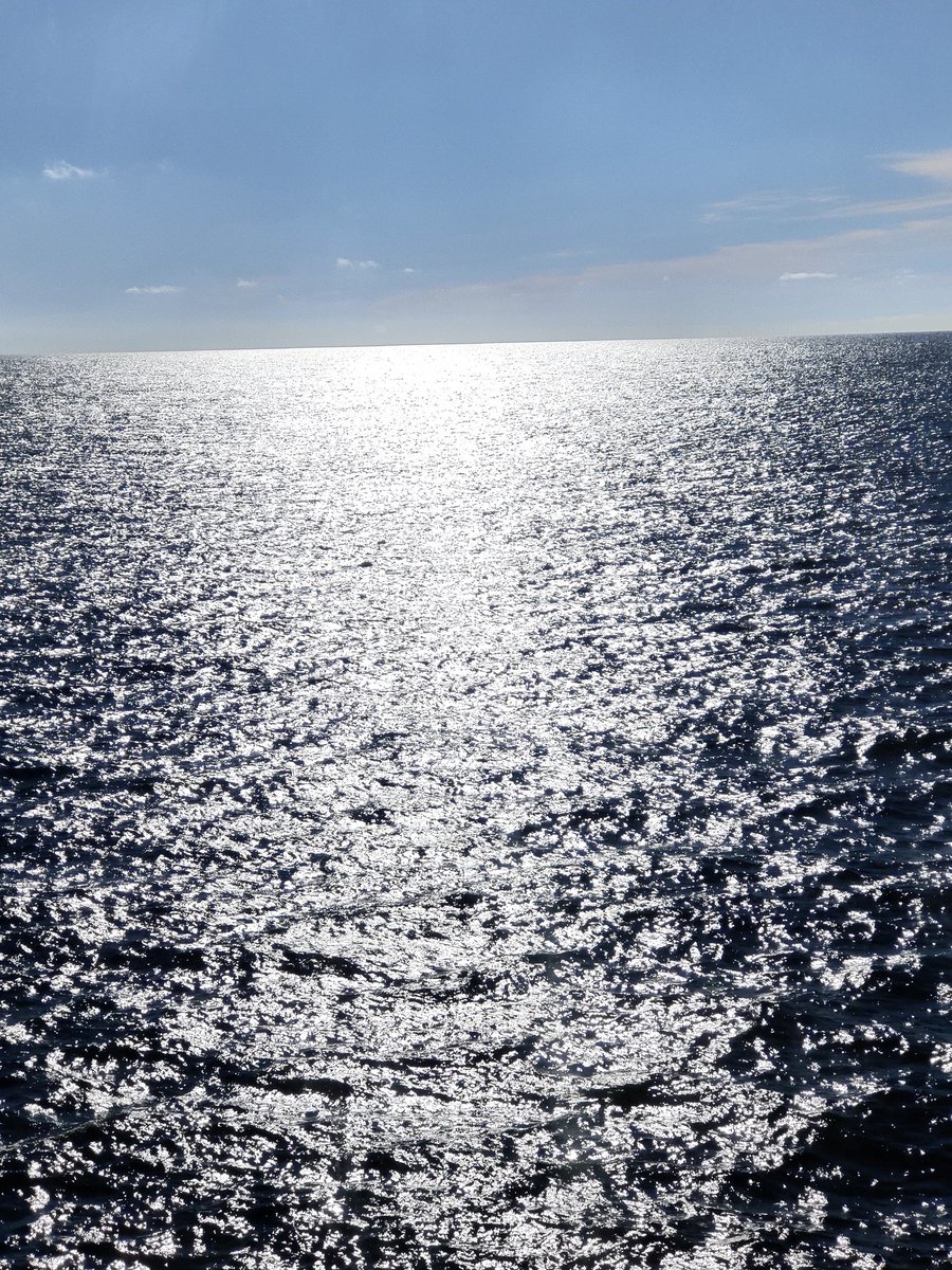 Charlotte Marris (she/her) tweet media